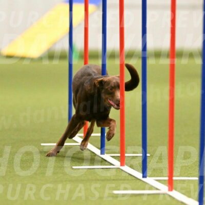 Flynn-Laura-Kuterbach-02822