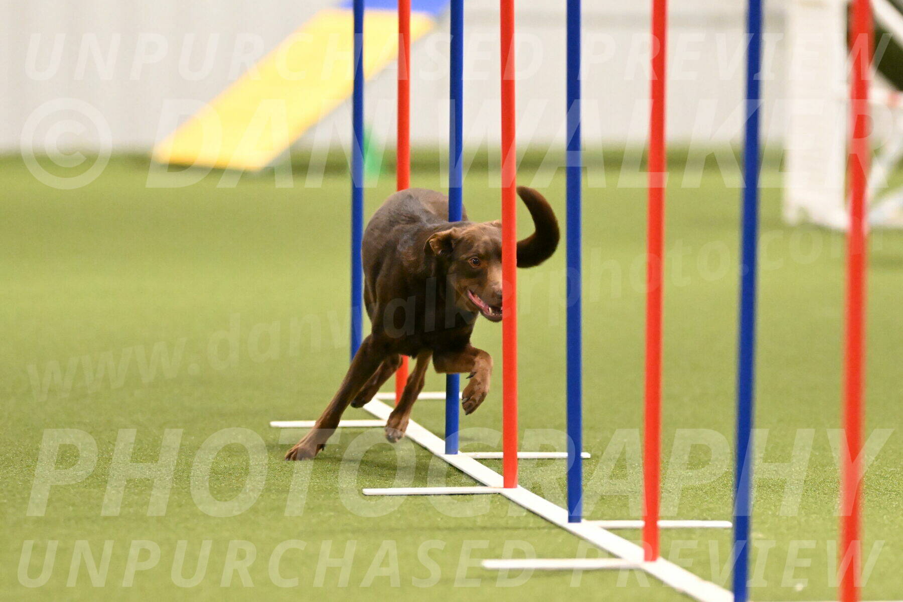 Flynn-Laura-Kuterbach-02822