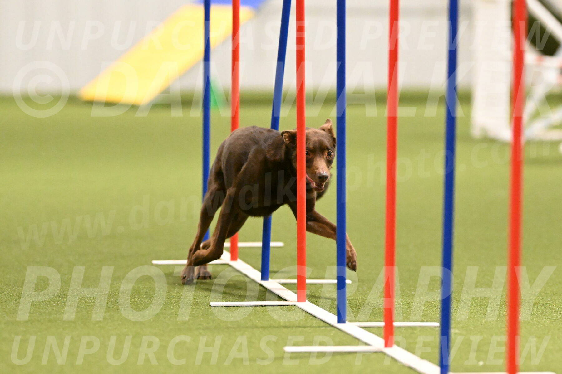 Flynn-Laura-Kuterbach-02823