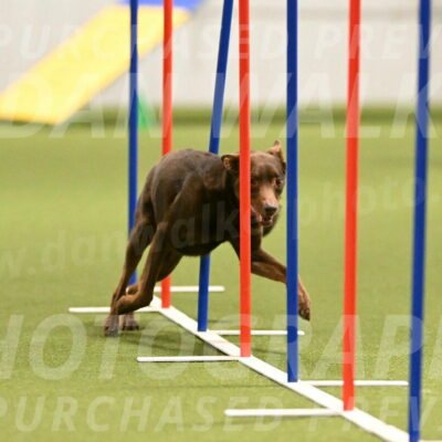 Flynn-Laura-Kuterbach-02823