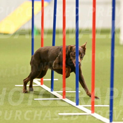 Flynn-Laura-Kuterbach-02824