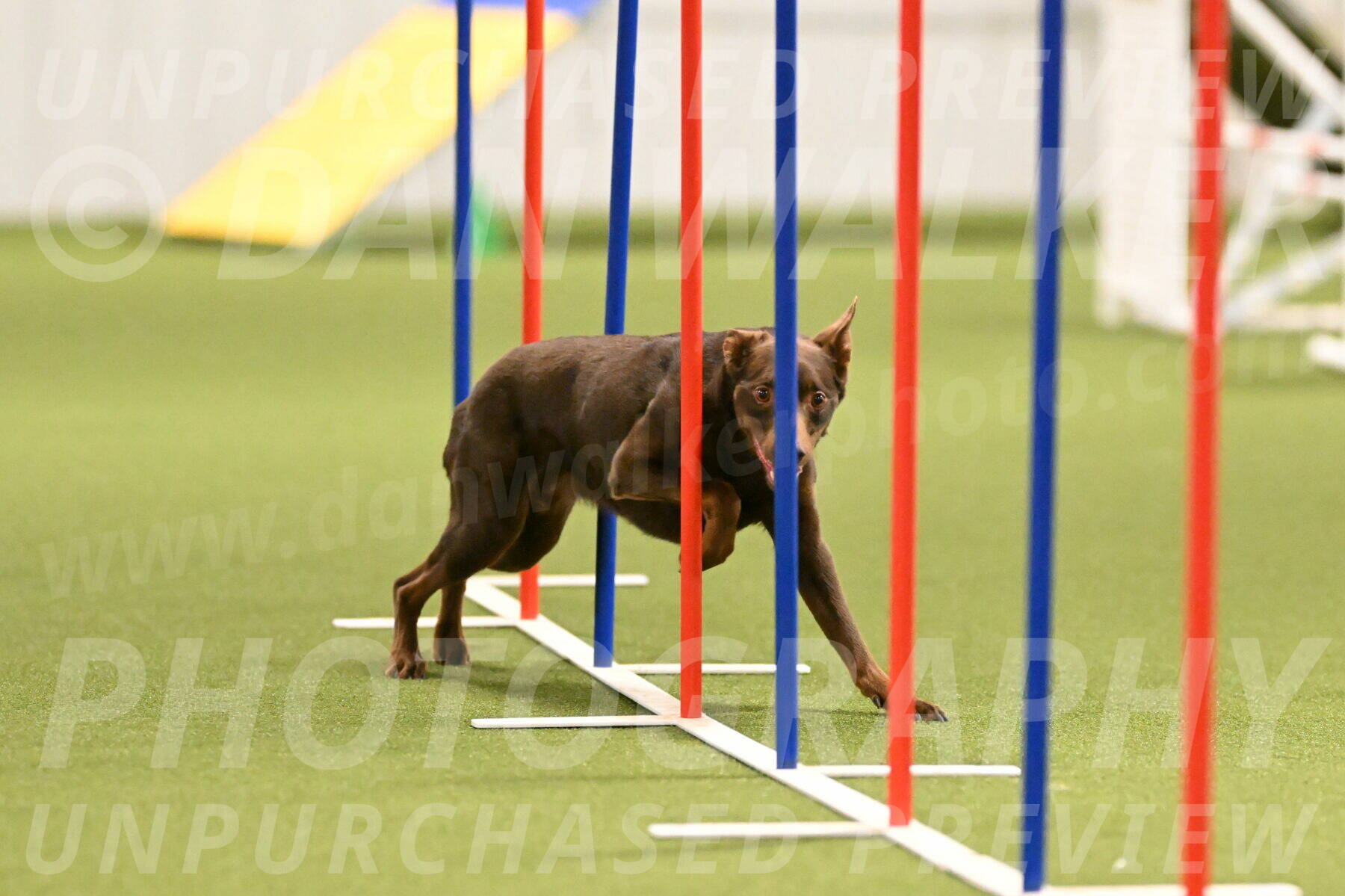 Flynn-Laura-Kuterbach-02824