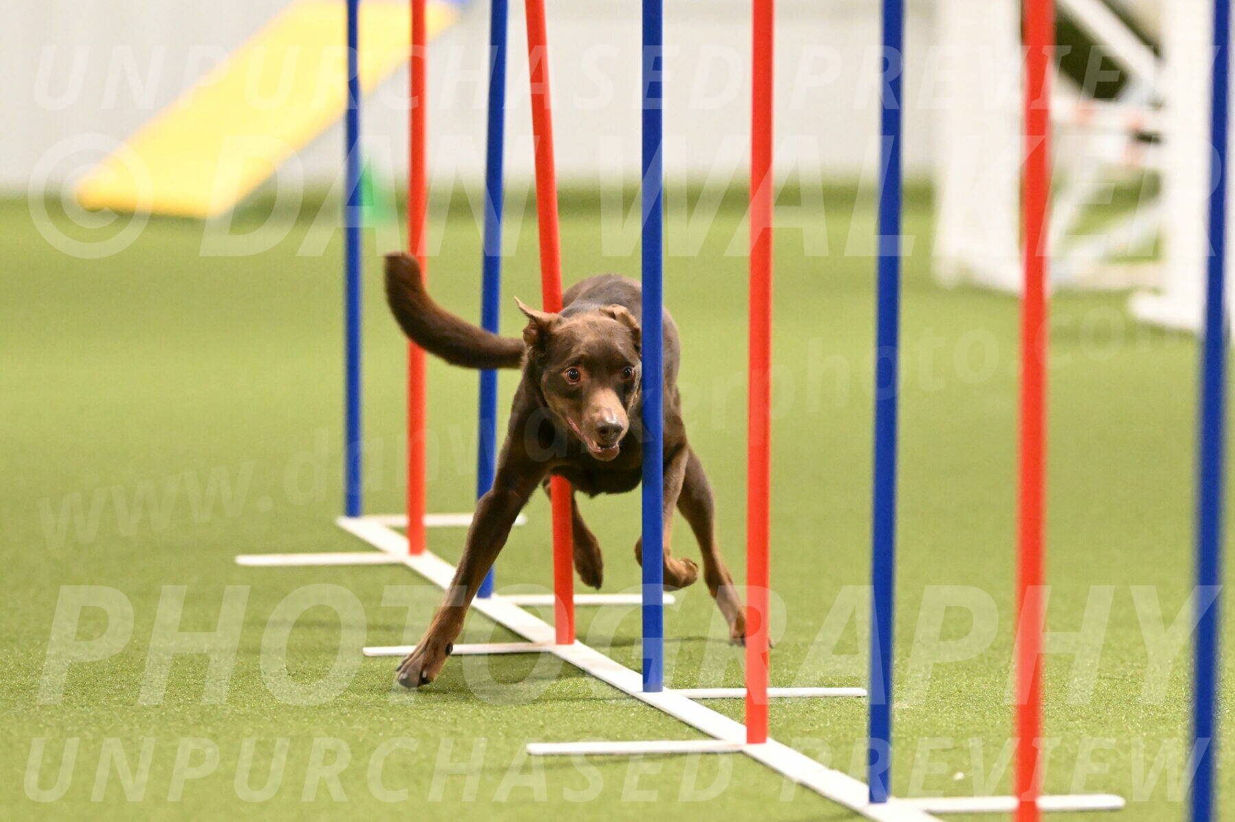 Flynn-Laura-Kuterbach-02825