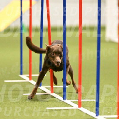 Flynn-Laura-Kuterbach-02825