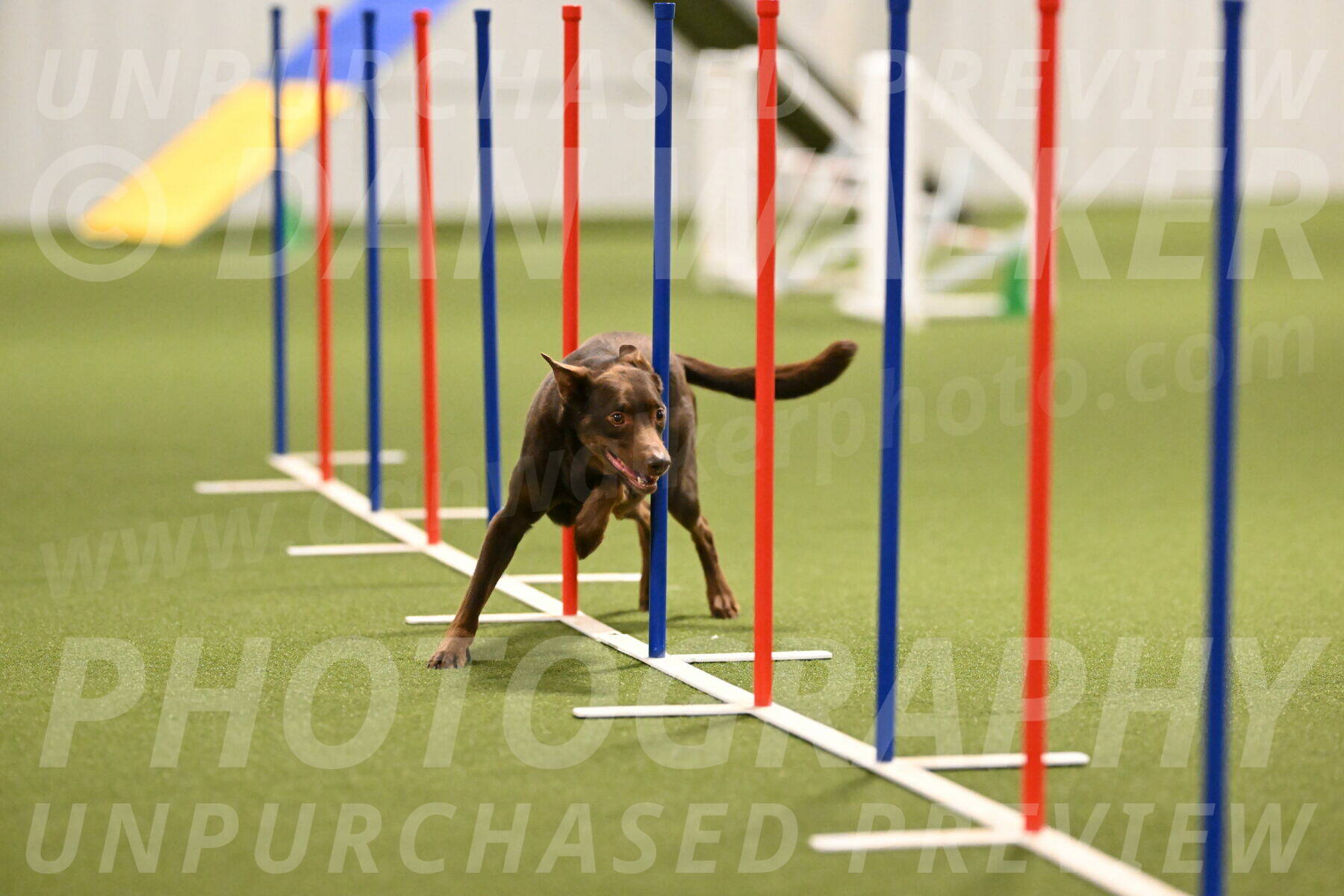 Flynn-Laura-Kuterbach-02826