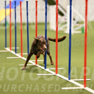 Flynn-Laura-Kuterbach-02826