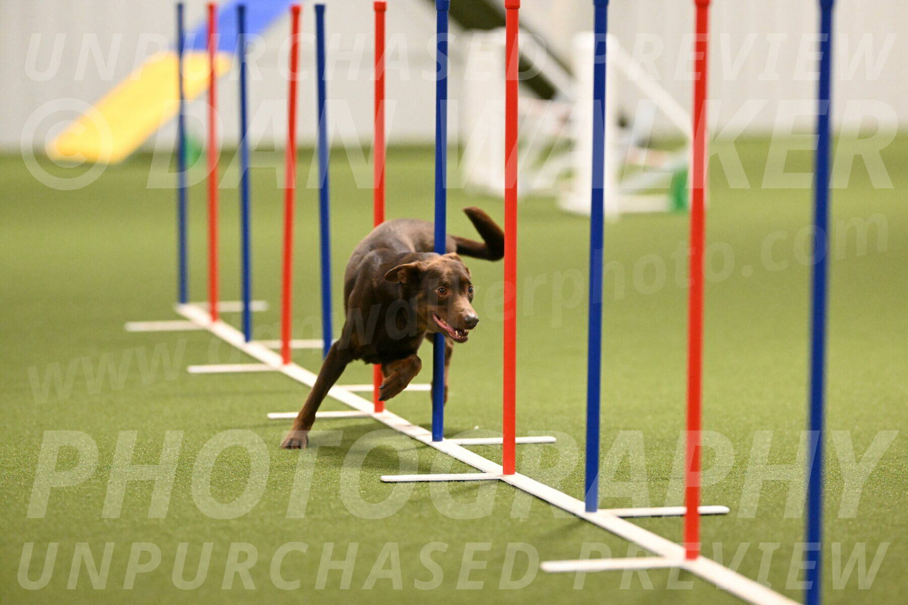 Flynn-Laura-Kuterbach-02827