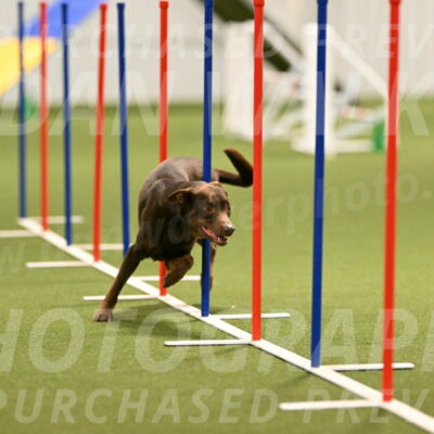 Flynn-Laura-Kuterbach-02827