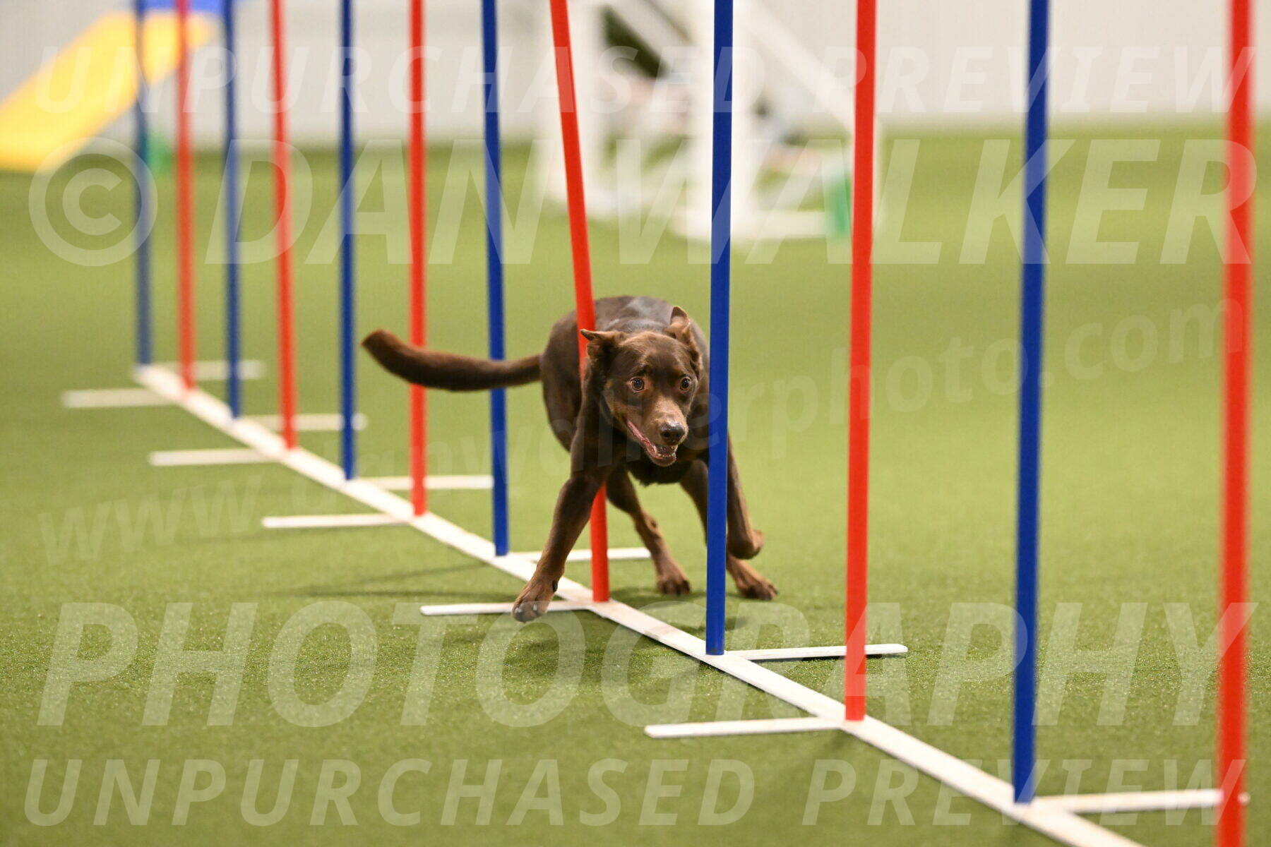 Flynn-Laura-Kuterbach-02828