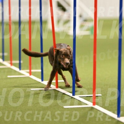 Flynn-Laura-Kuterbach-02828