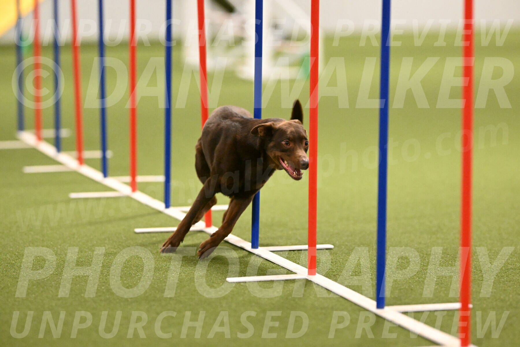 Flynn-Laura-Kuterbach-02829