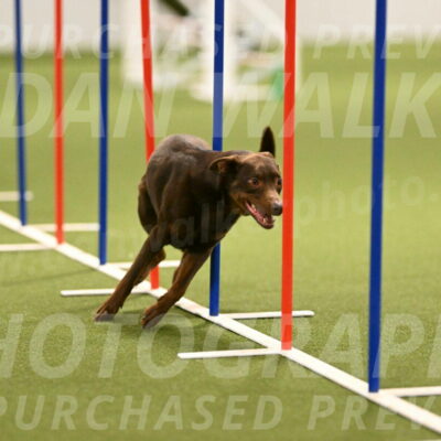 Flynn-Laura-Kuterbach-02829