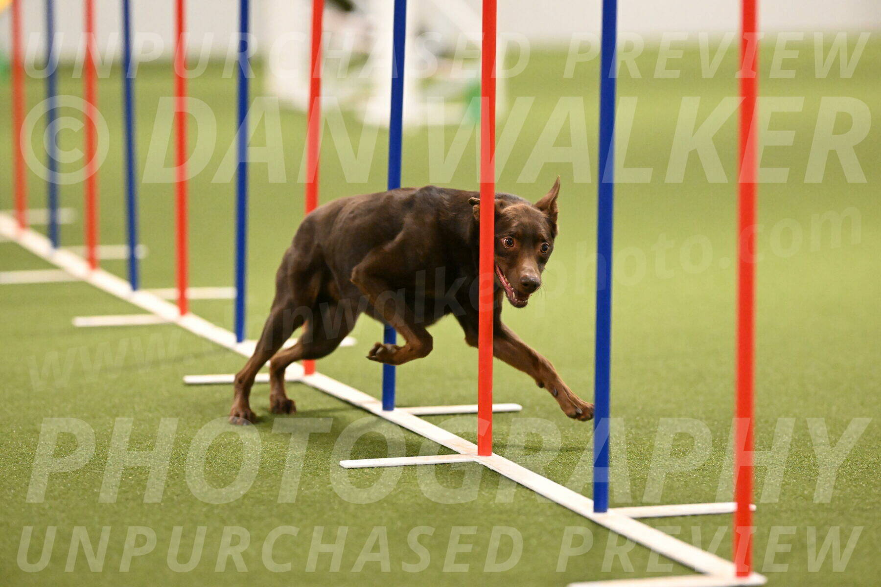 Flynn-Laura-Kuterbach-02830