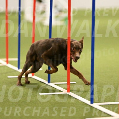 Flynn-Laura-Kuterbach-02830