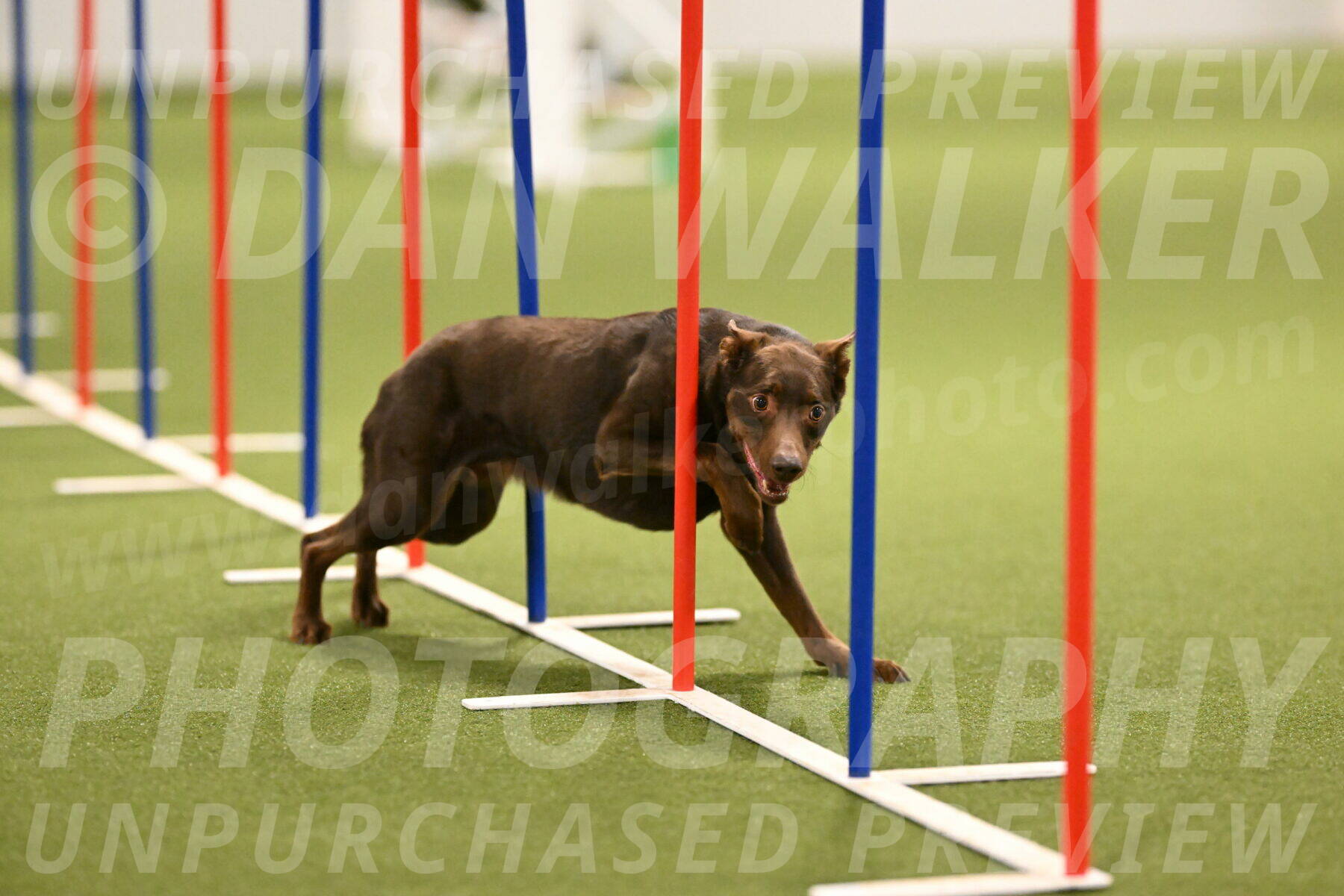 Flynn-Laura-Kuterbach-02831