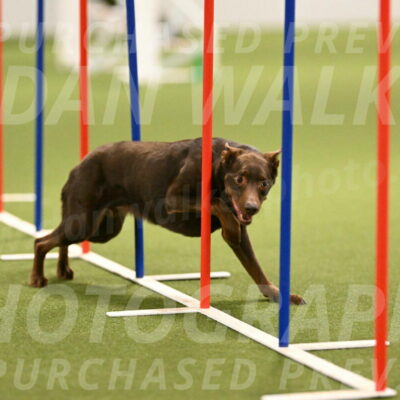 Flynn-Laura-Kuterbach-02831