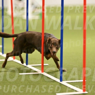 Flynn-Laura-Kuterbach-02832