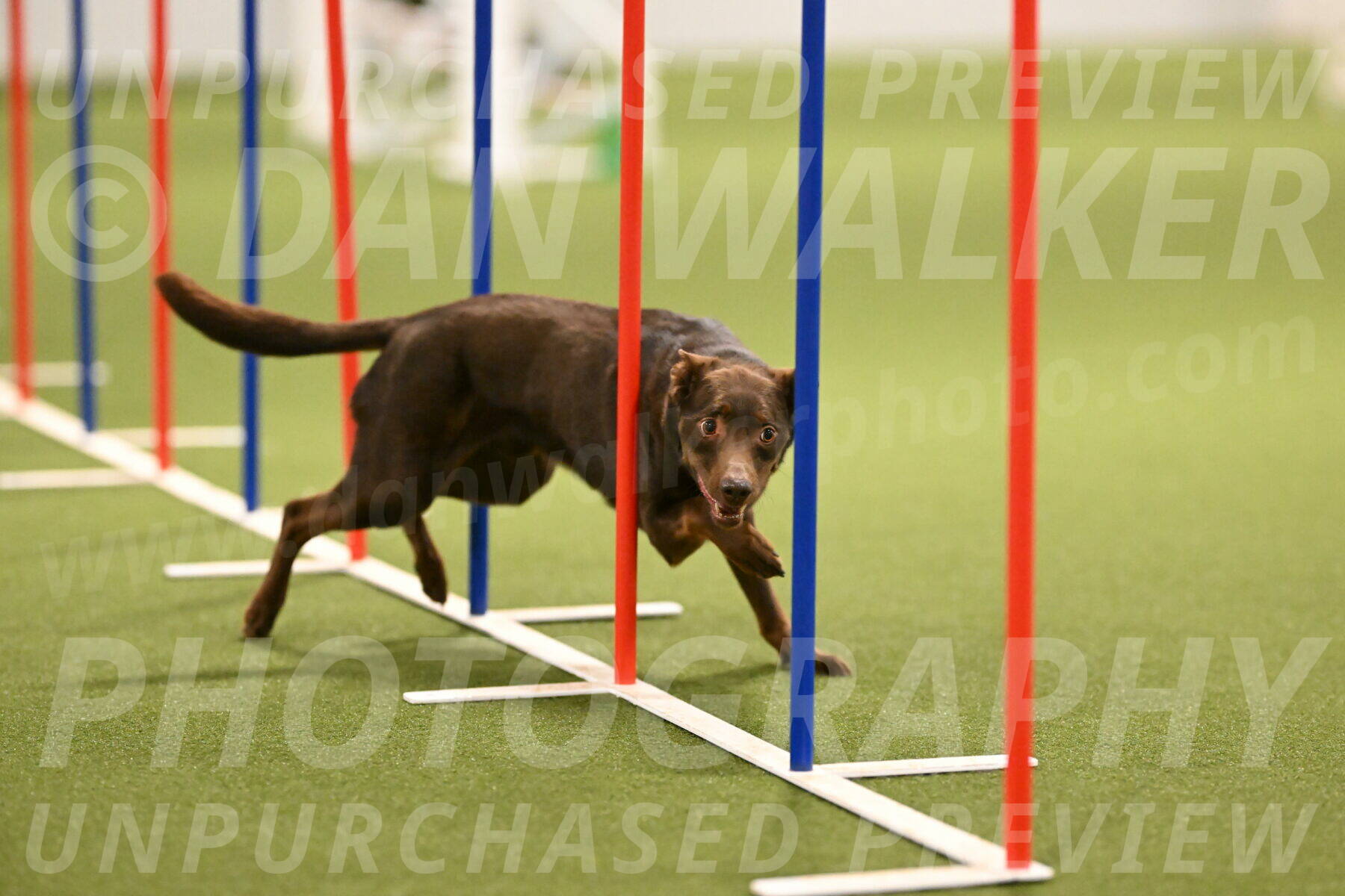 Flynn-Laura-Kuterbach-02832