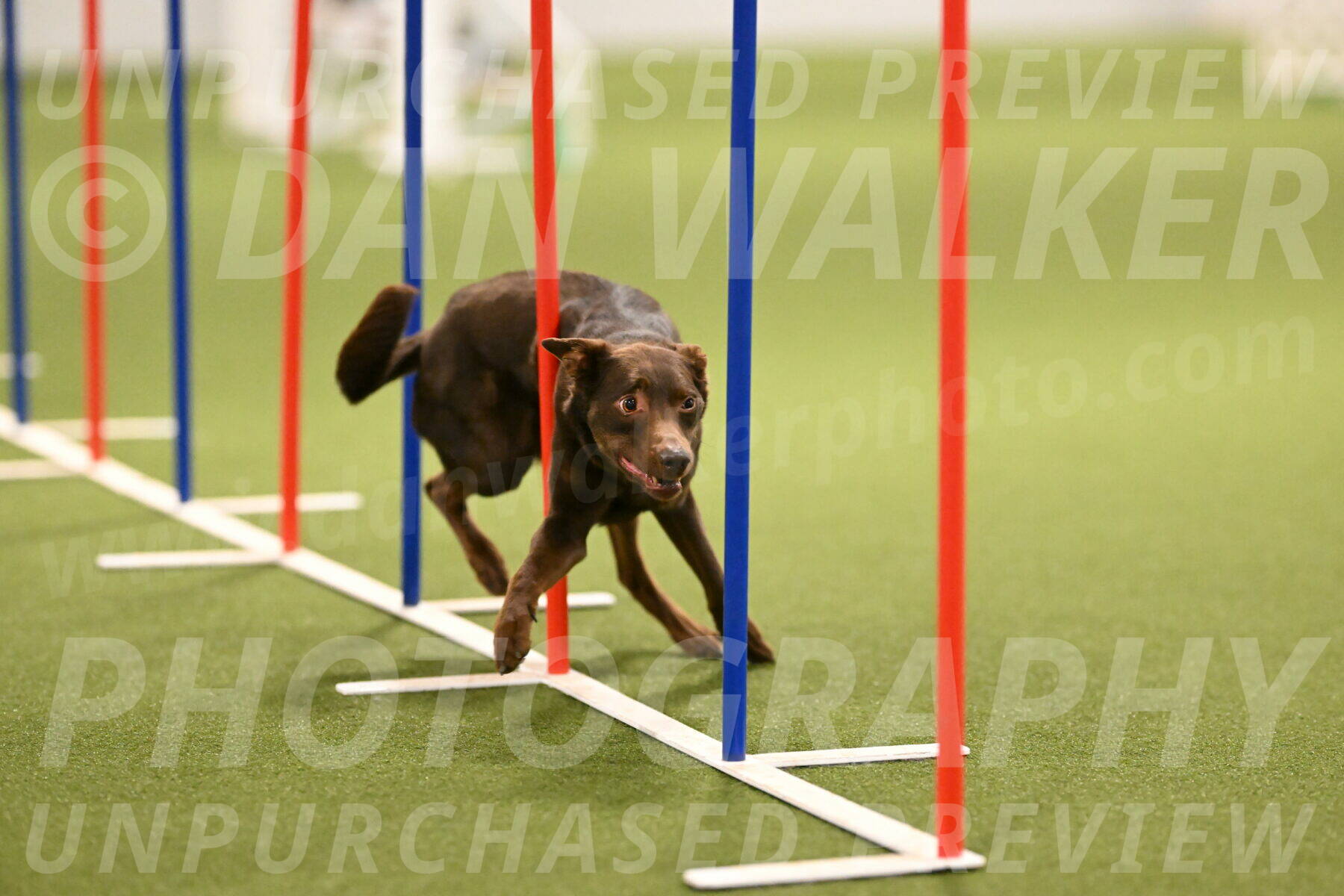 Flynn-Laura-Kuterbach-02833