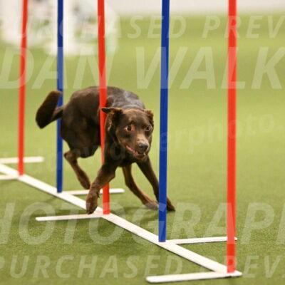 Flynn-Laura-Kuterbach-02833