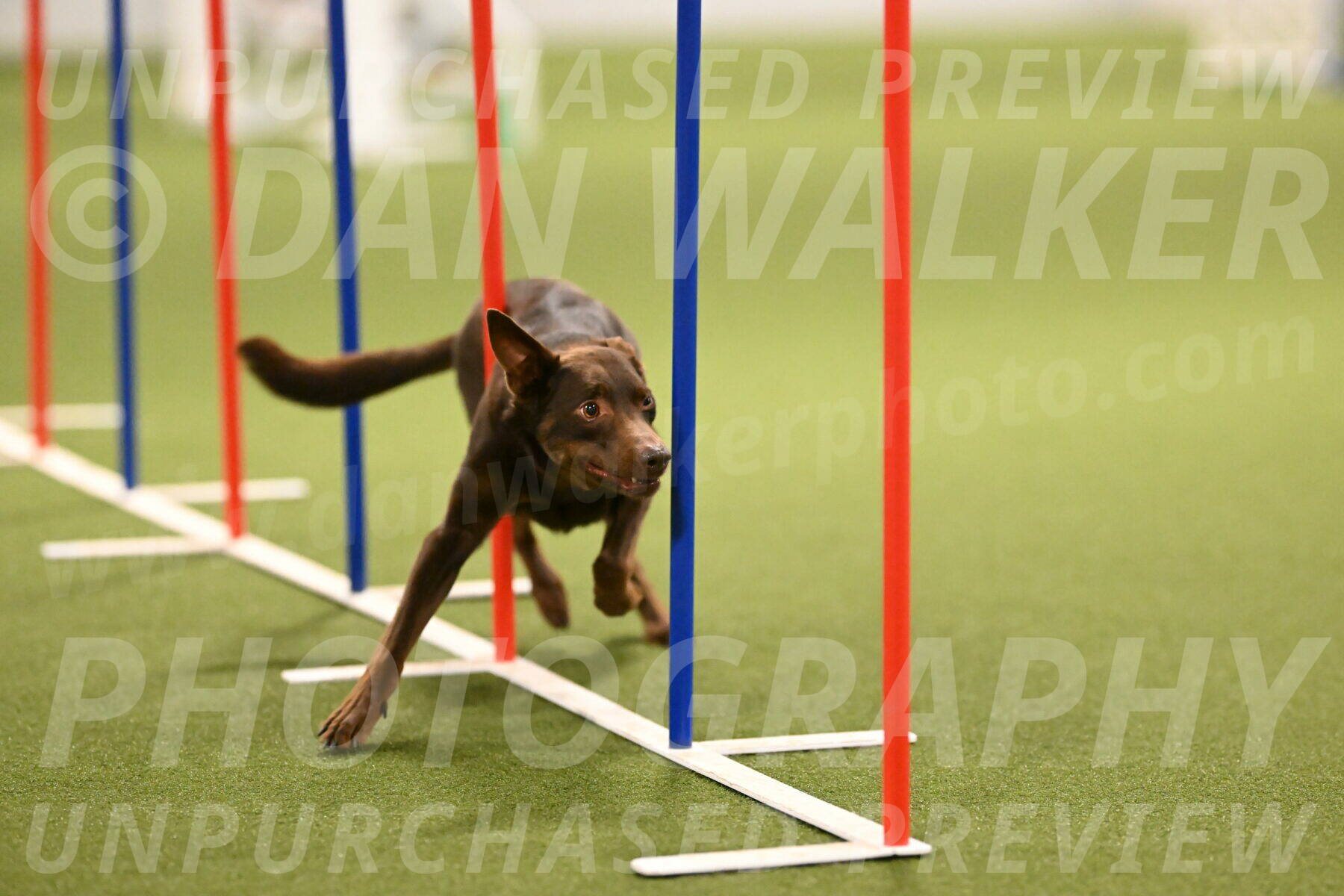 Flynn-Laura-Kuterbach-02834