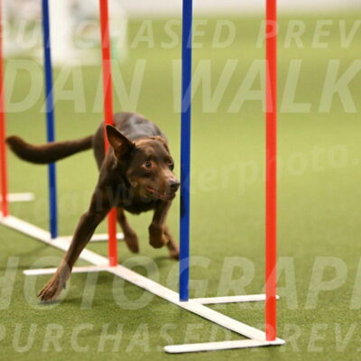 Flynn-Laura-Kuterbach-02834