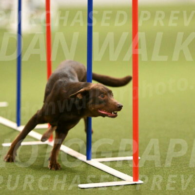 Flynn-Laura-Kuterbach-02835