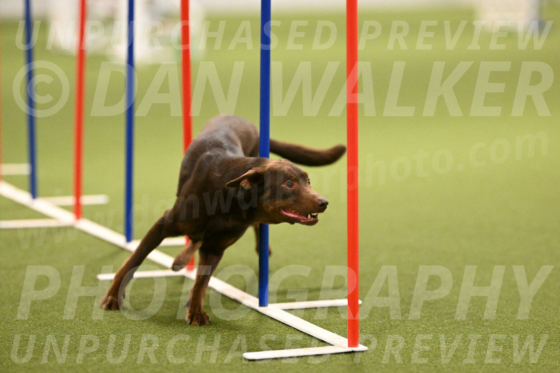 Flynn-Laura-Kuterbach-02835