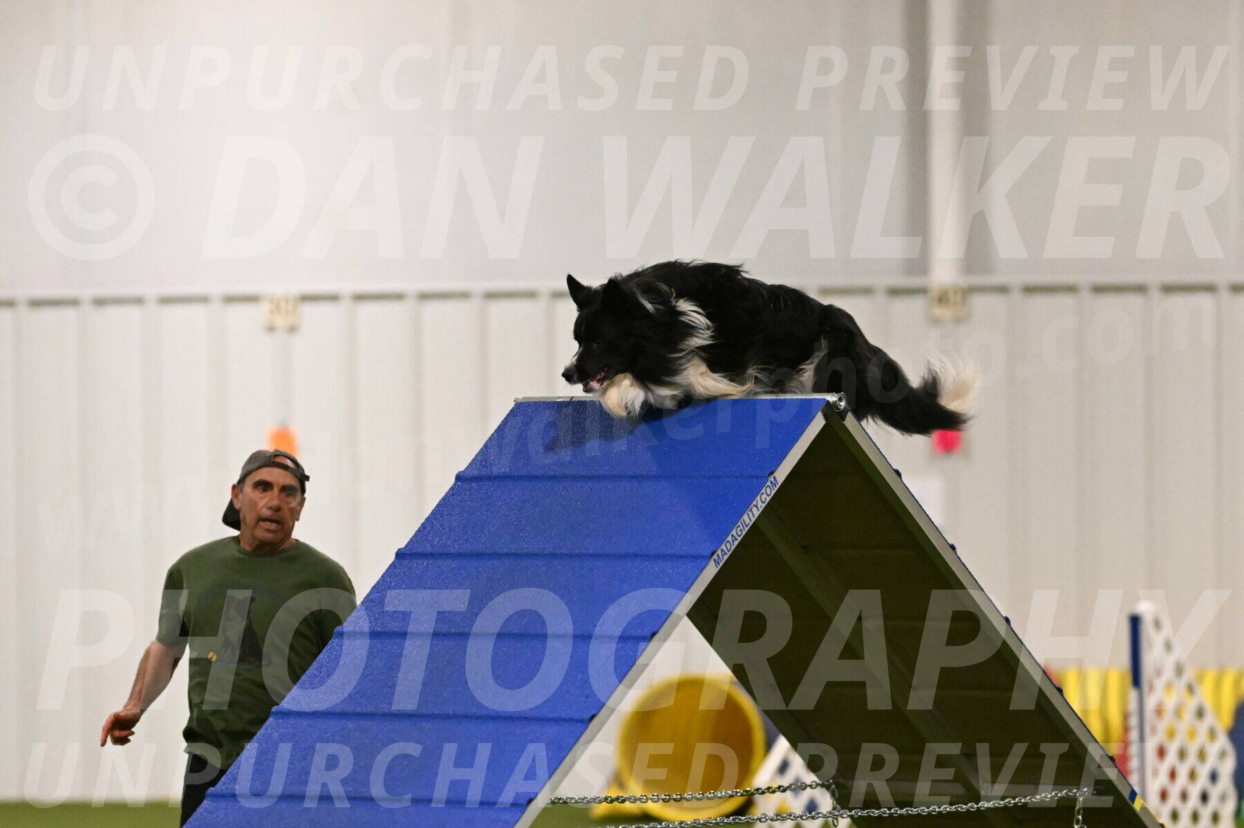 Frenzy-Robert-Rachow-09987