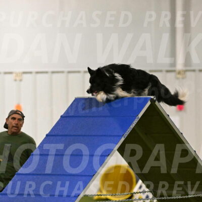 Frenzy-Robert-Rachow-09987