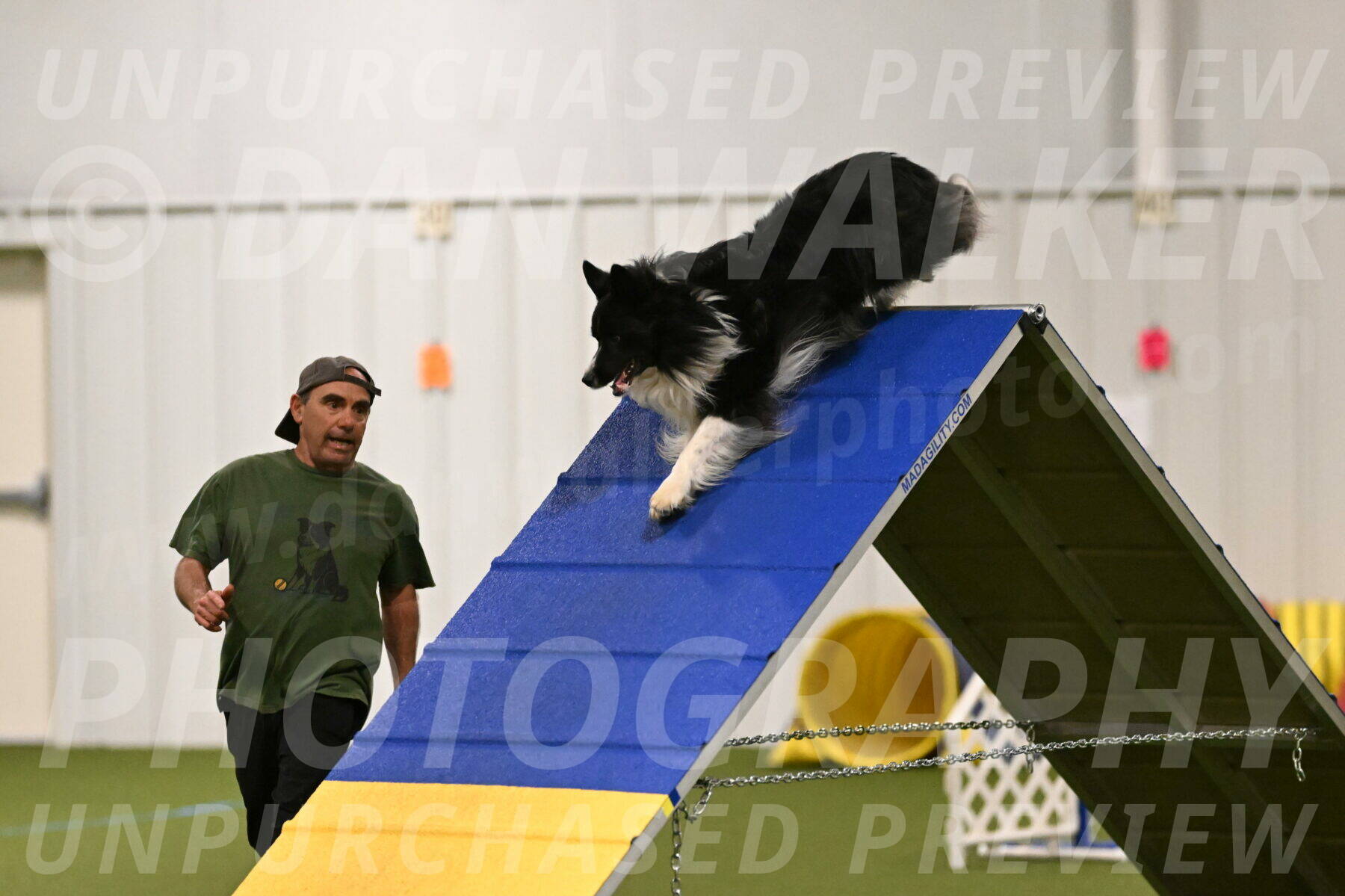 Frenzy-Robert-Rachow-09988