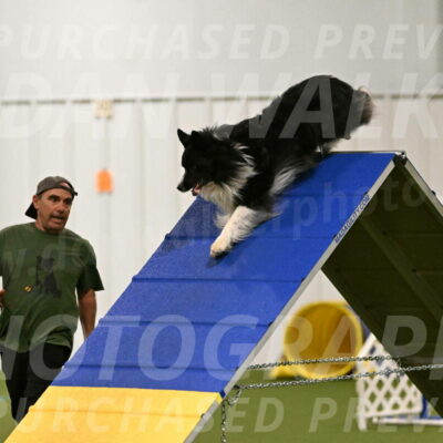 Frenzy-Robert-Rachow-09988