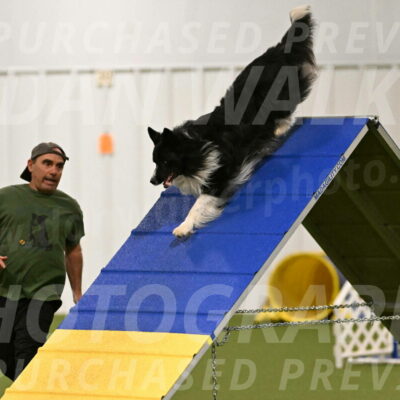 Frenzy-Robert-Rachow-09989