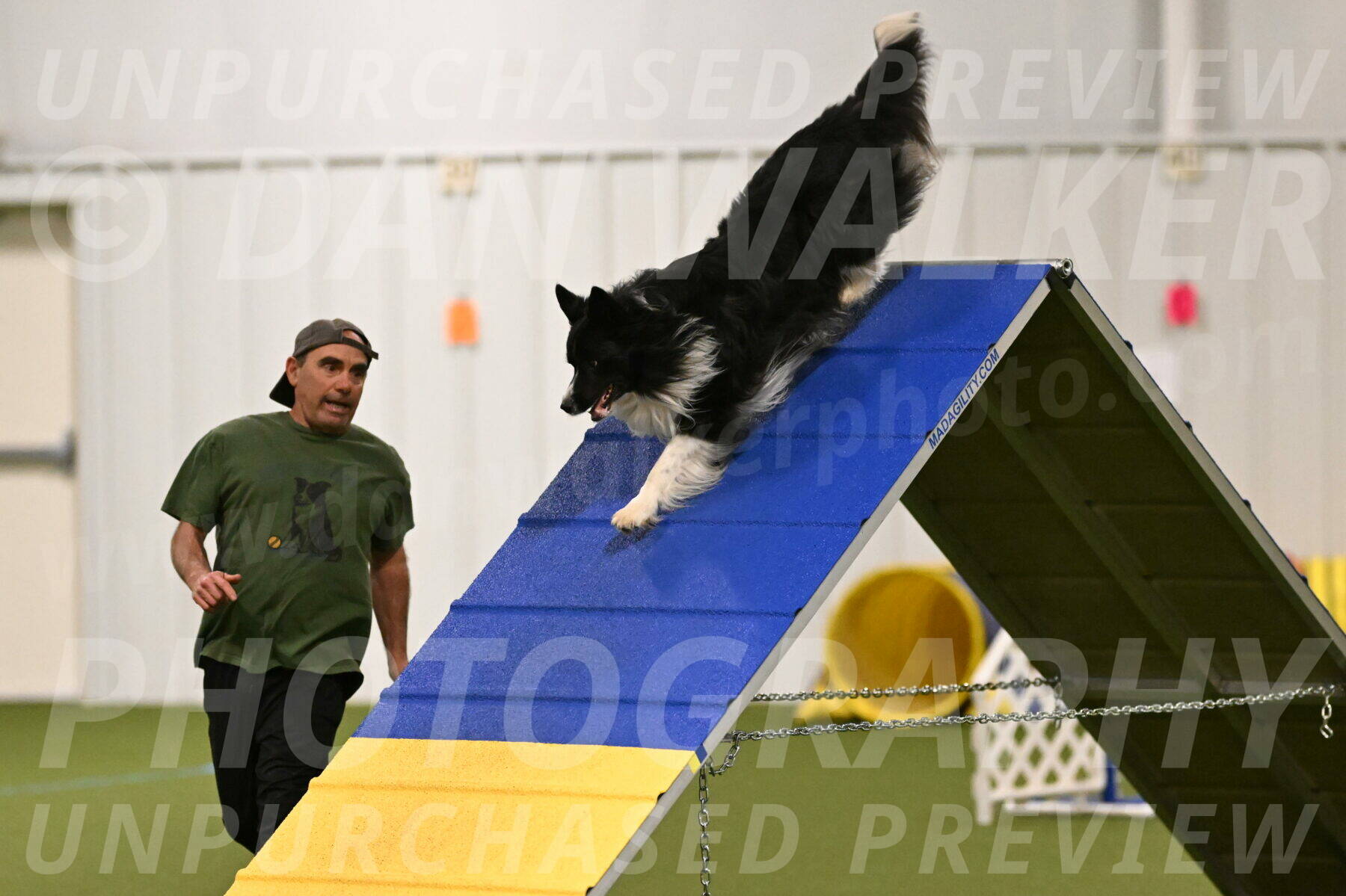 Frenzy-Robert-Rachow-09989