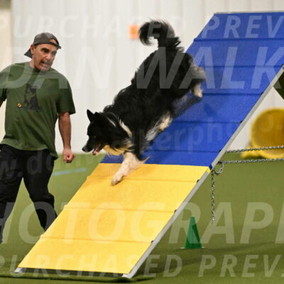 Frenzy-Robert-Rachow-09990