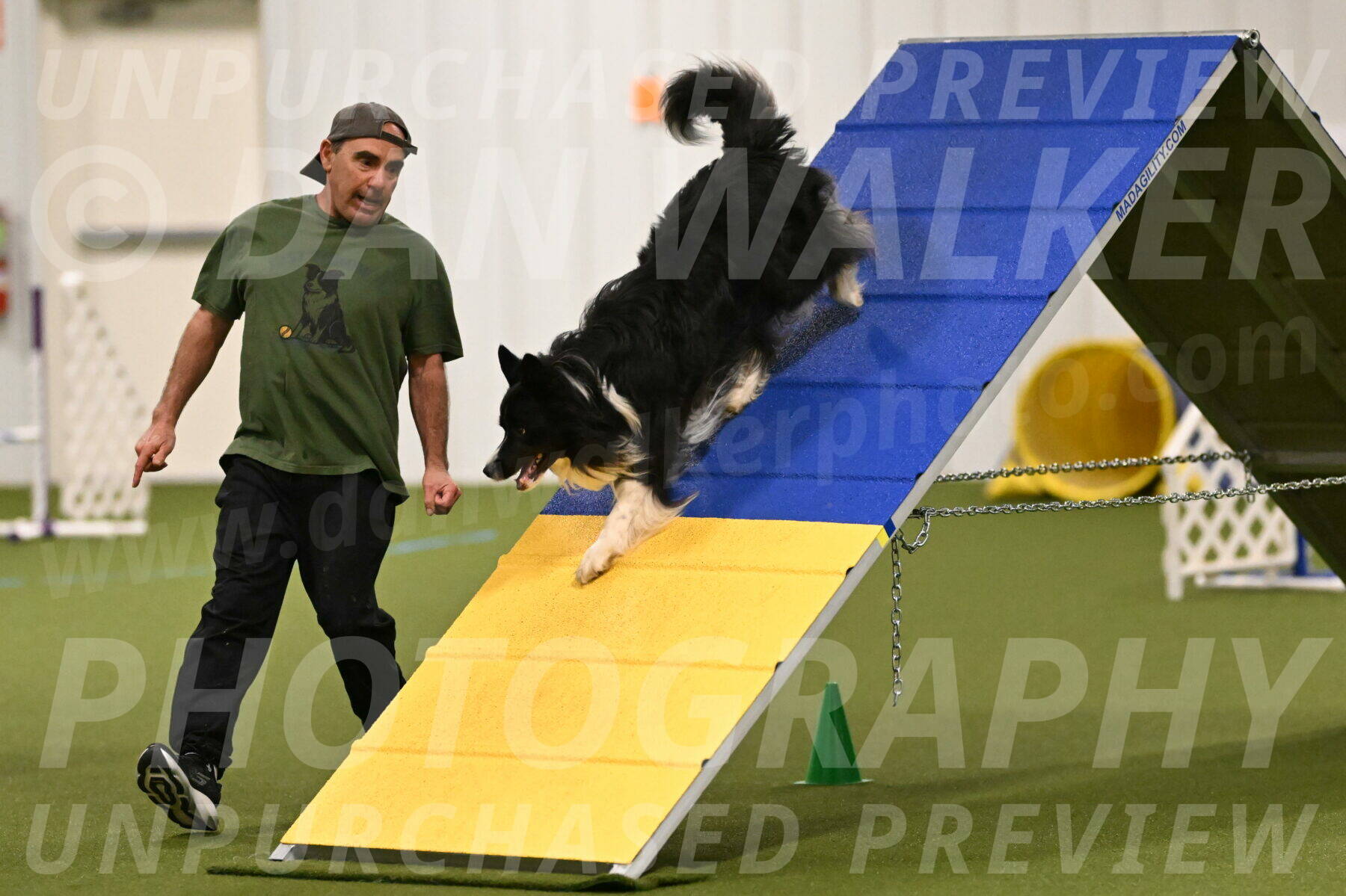 Frenzy-Robert-Rachow-09990