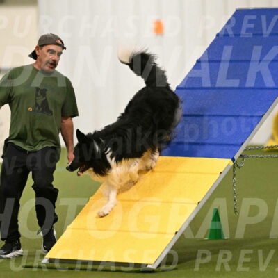 Frenzy-Robert-Rachow-09991