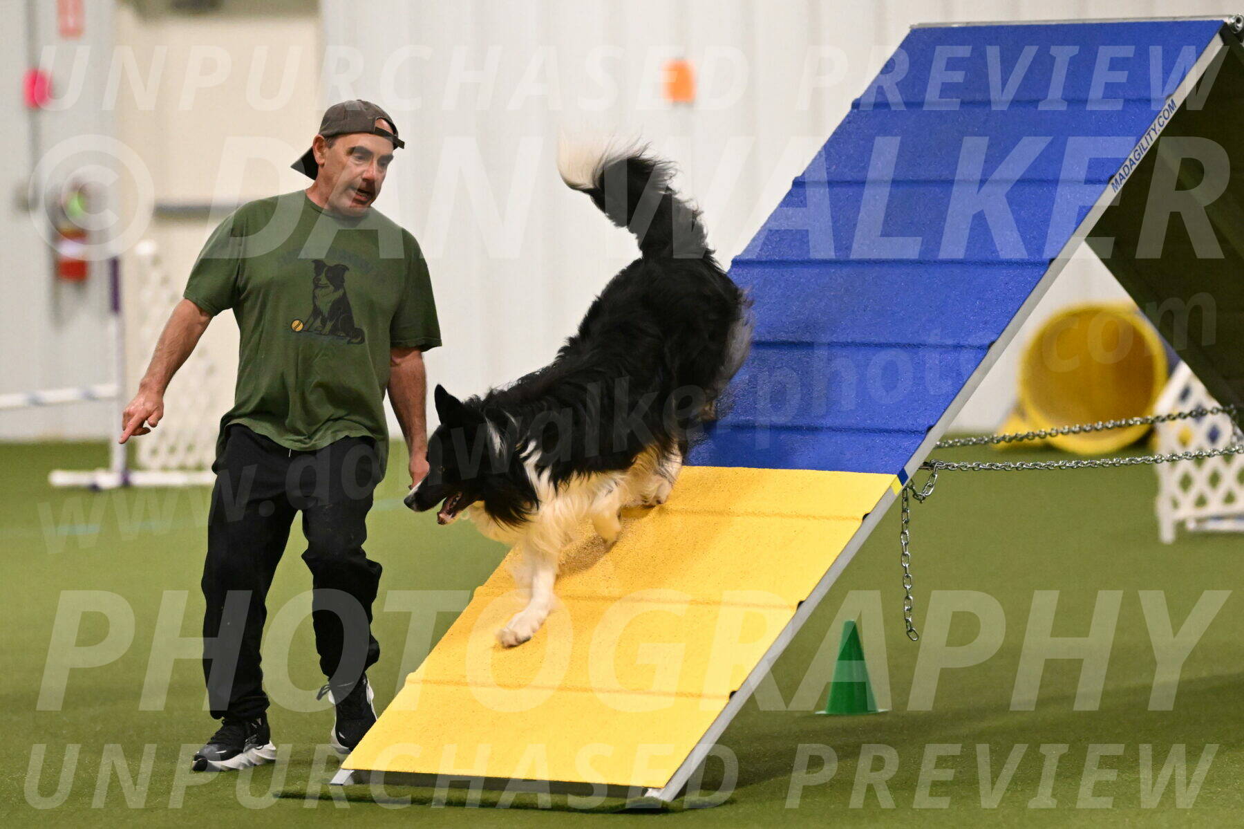 Frenzy-Robert-Rachow-09991