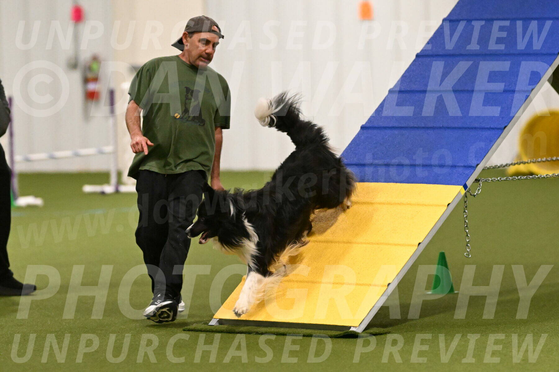 Frenzy-Robert-Rachow-09992