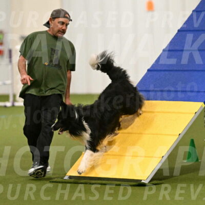 Frenzy-Robert-Rachow-09992