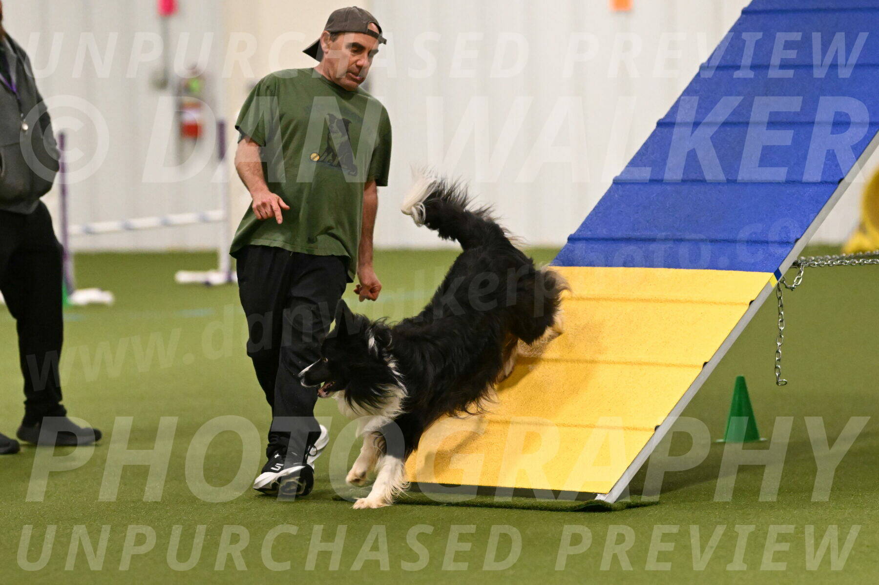 Frenzy-Robert-Rachow-09993