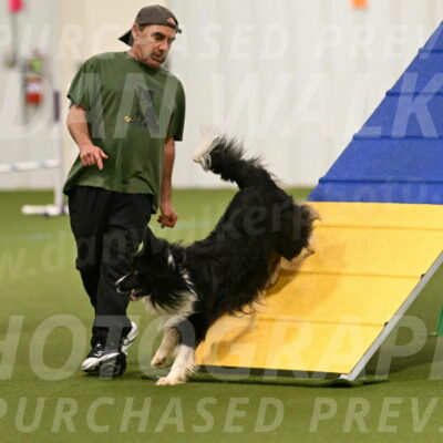 Frenzy-Robert-Rachow-09993