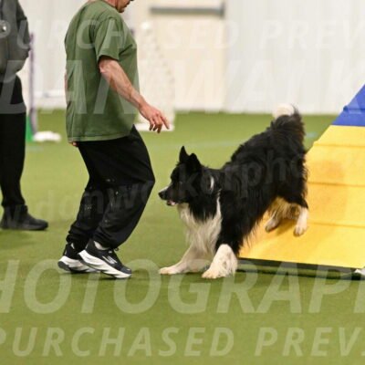 Frenzy-Robert-Rachow-09994