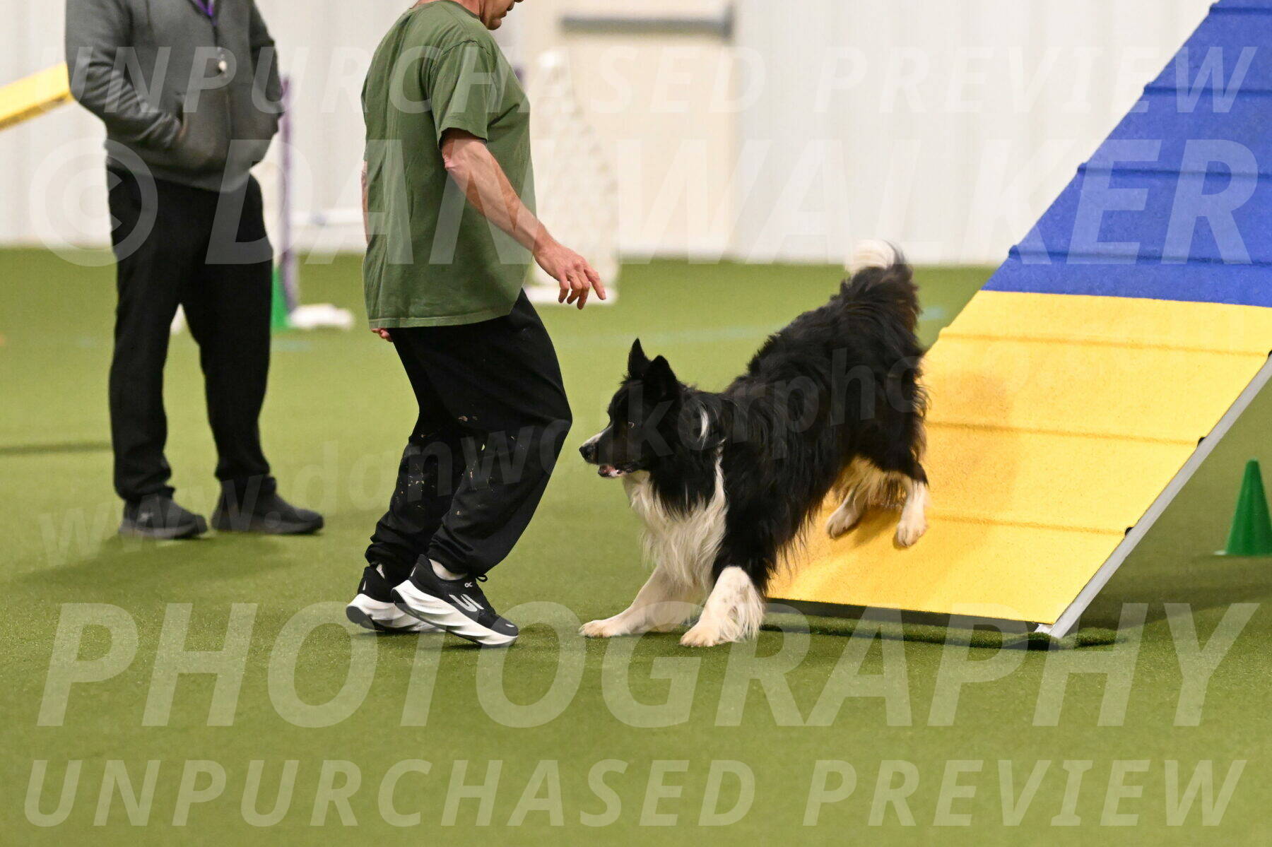 Frenzy-Robert-Rachow-09994