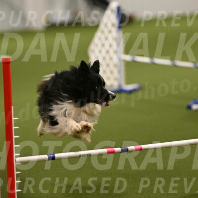 Frenzy-Robert-Rachow-09995