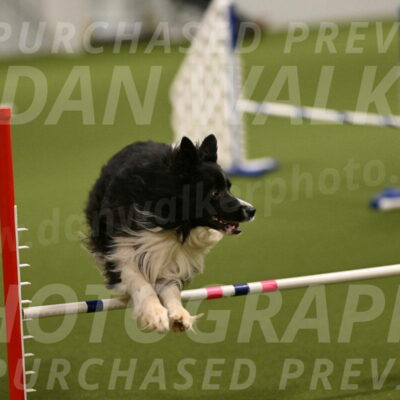 Frenzy-Robert-Rachow-09996