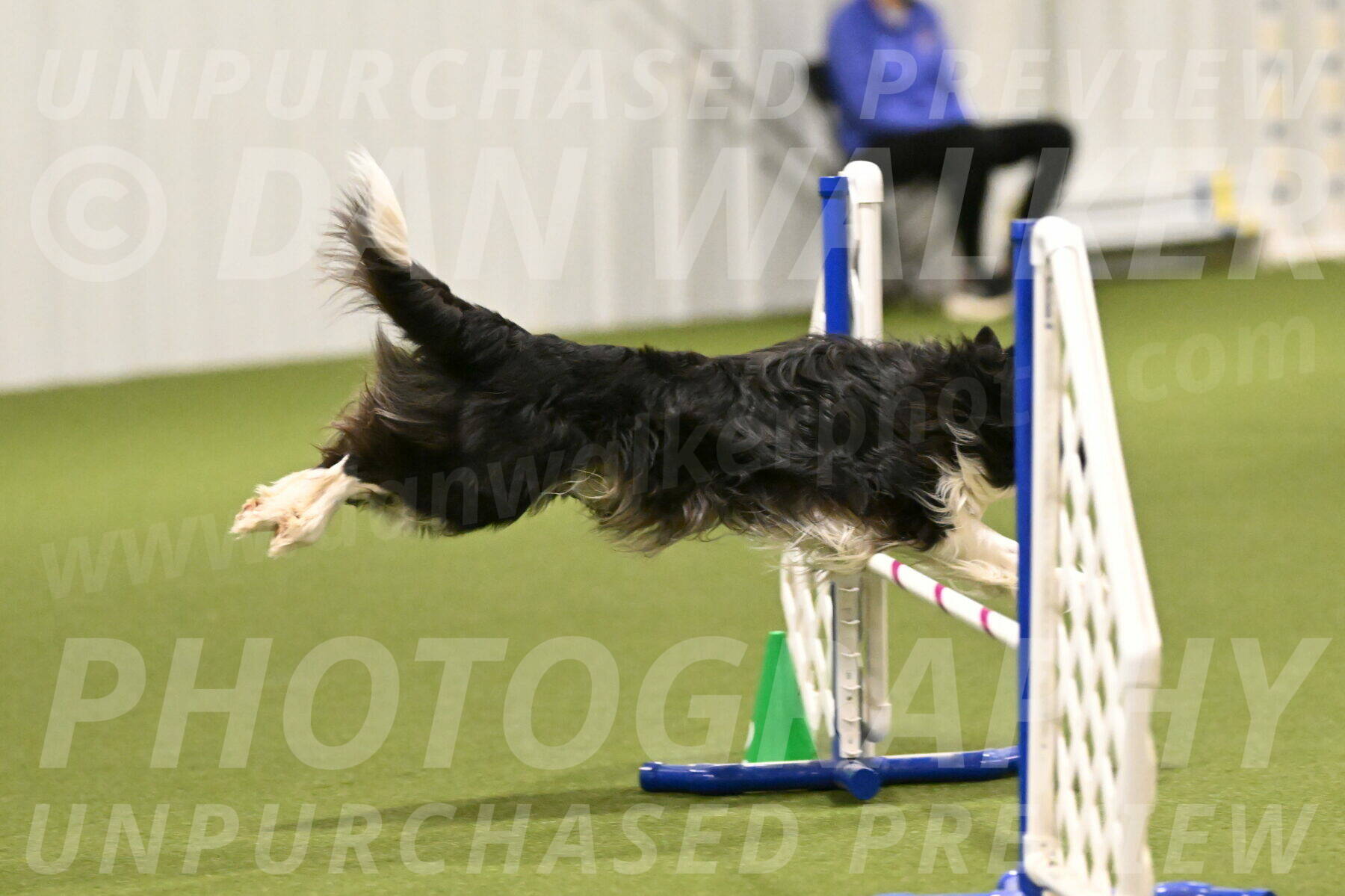 Frenzy-Robert-Rachow-10006