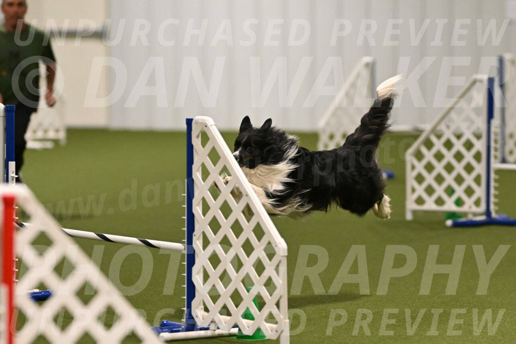 Frenzy-Robert-Rachow-10007