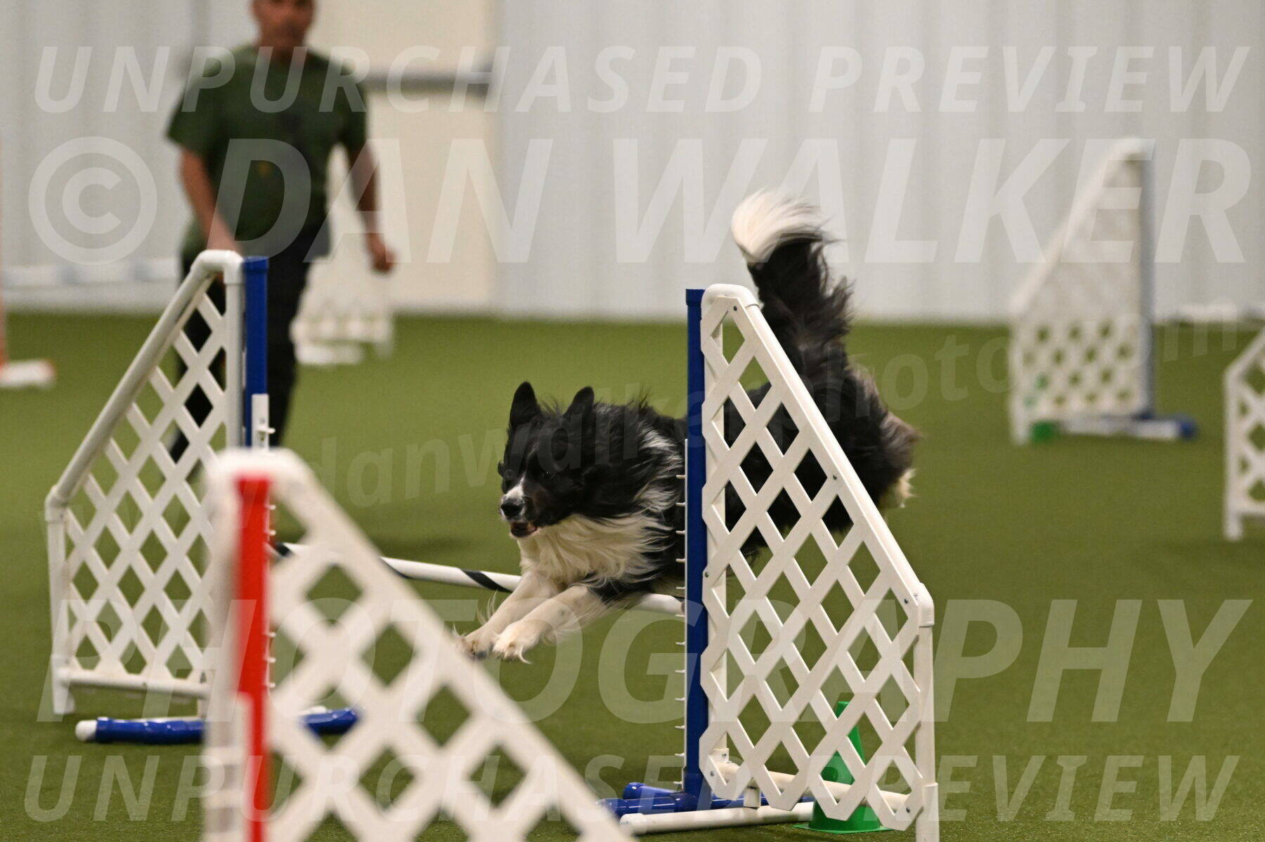 Frenzy-Robert-Rachow-10008