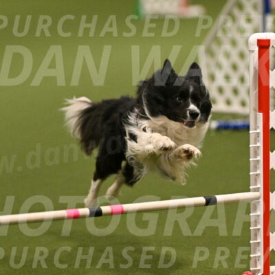 Frenzy-Robert-Rachow-10009